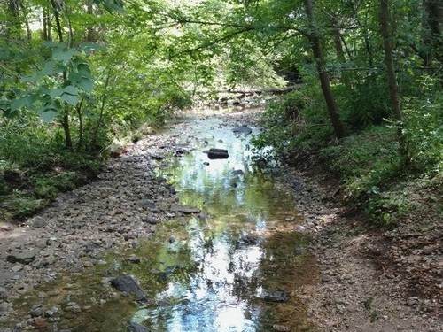 Fisher Creek