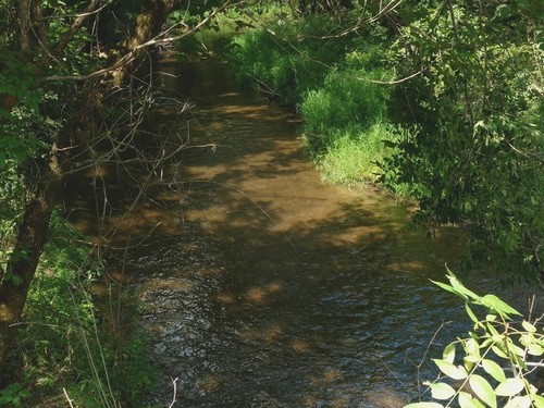 Marsh Creek